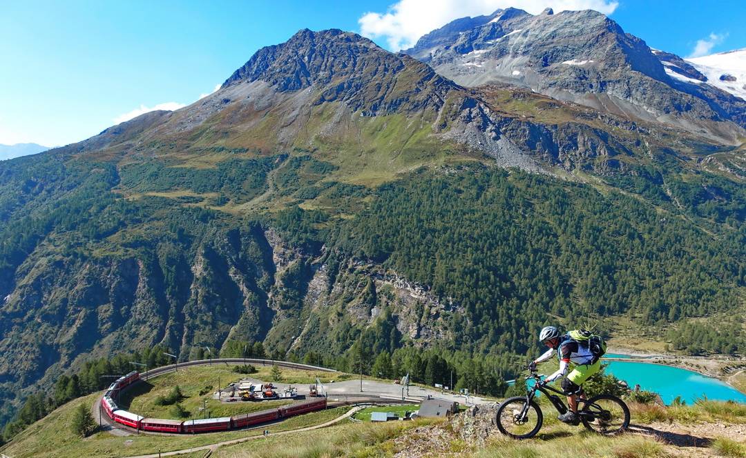 Alp Grüm