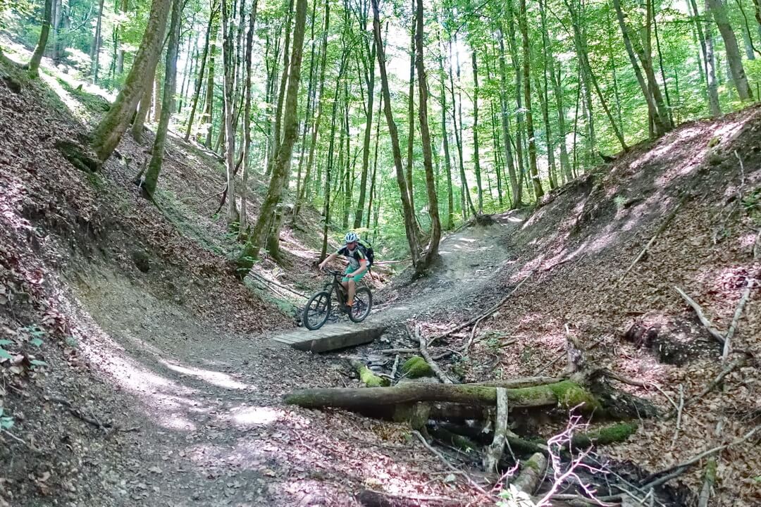 Trail in den Isarauen