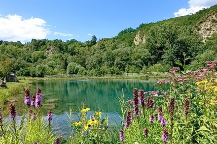 Fischteich Brugg