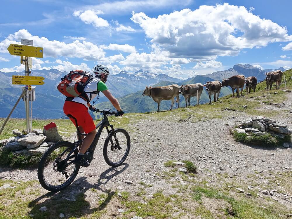 Gesellschaft am Geiseljoch