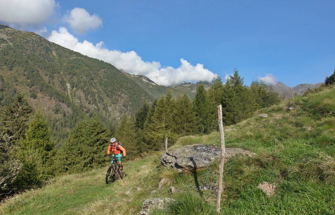 Pezzo Trail