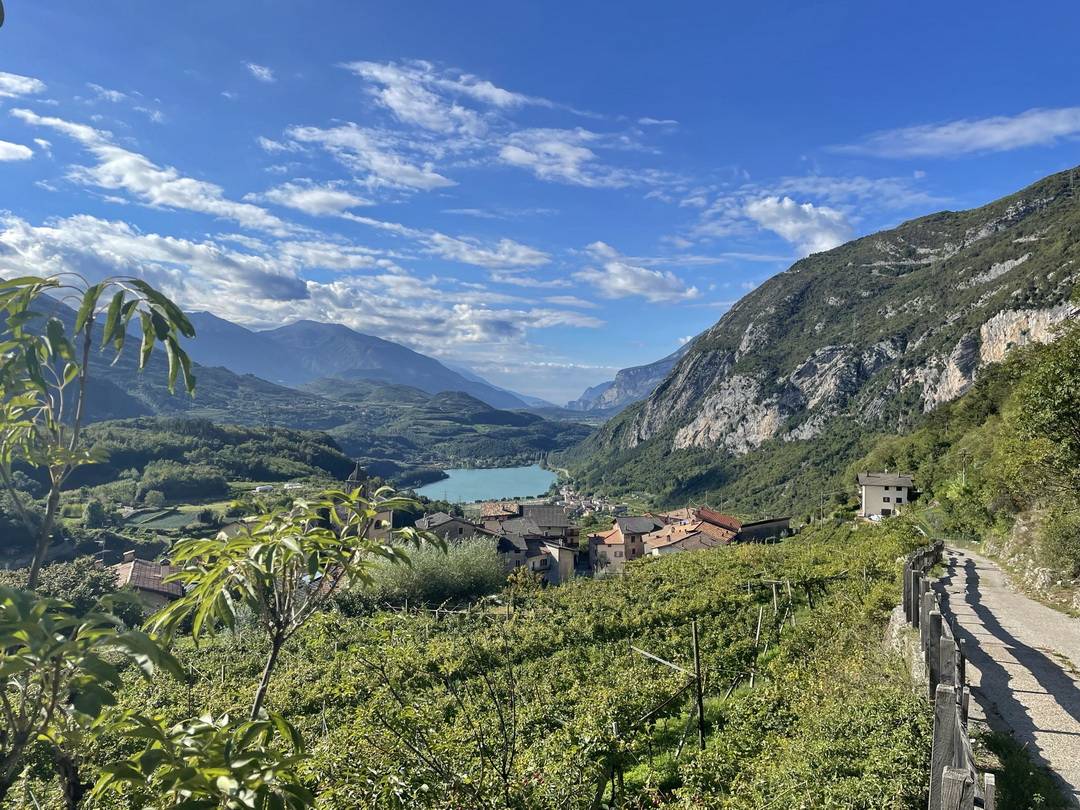 Weinberge Weinberge