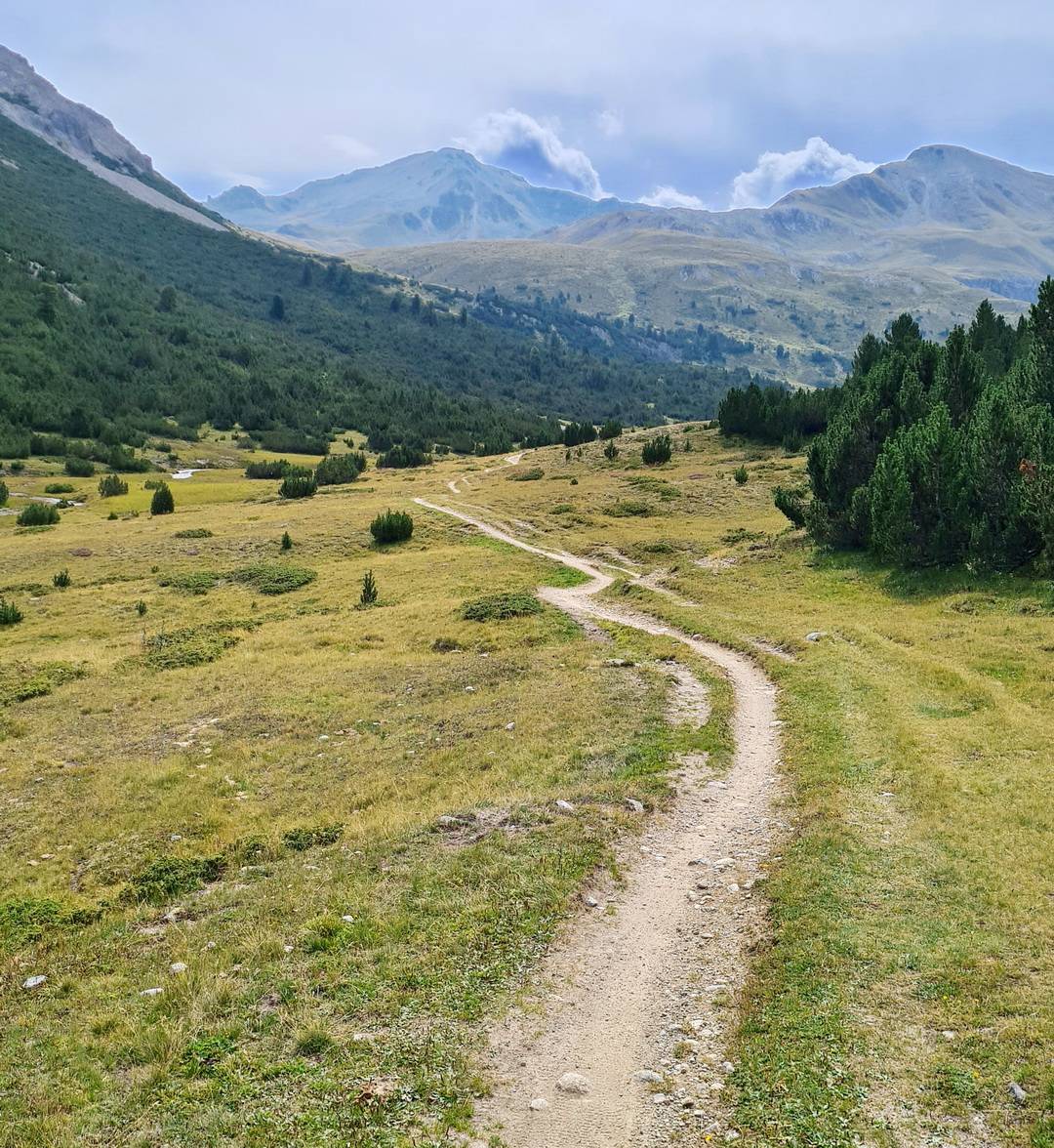 Trail ab Alp Astras Trail zwischen Alp Astras und dem Pass da Costainas - Foto: Achim