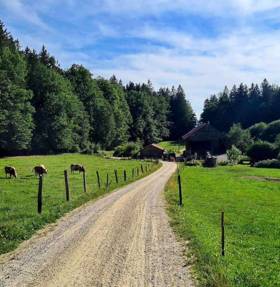 Forsthaus Schuss Schotterpiste am Forsthaus Schuss - Foto: Achim