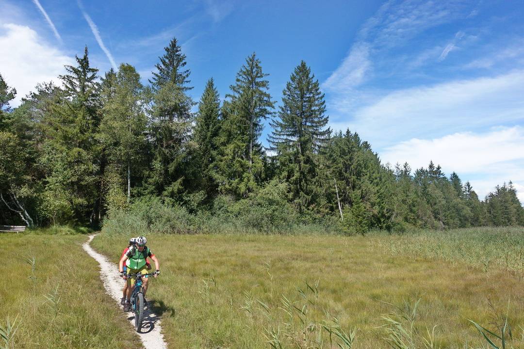 Trail im Rottachtal