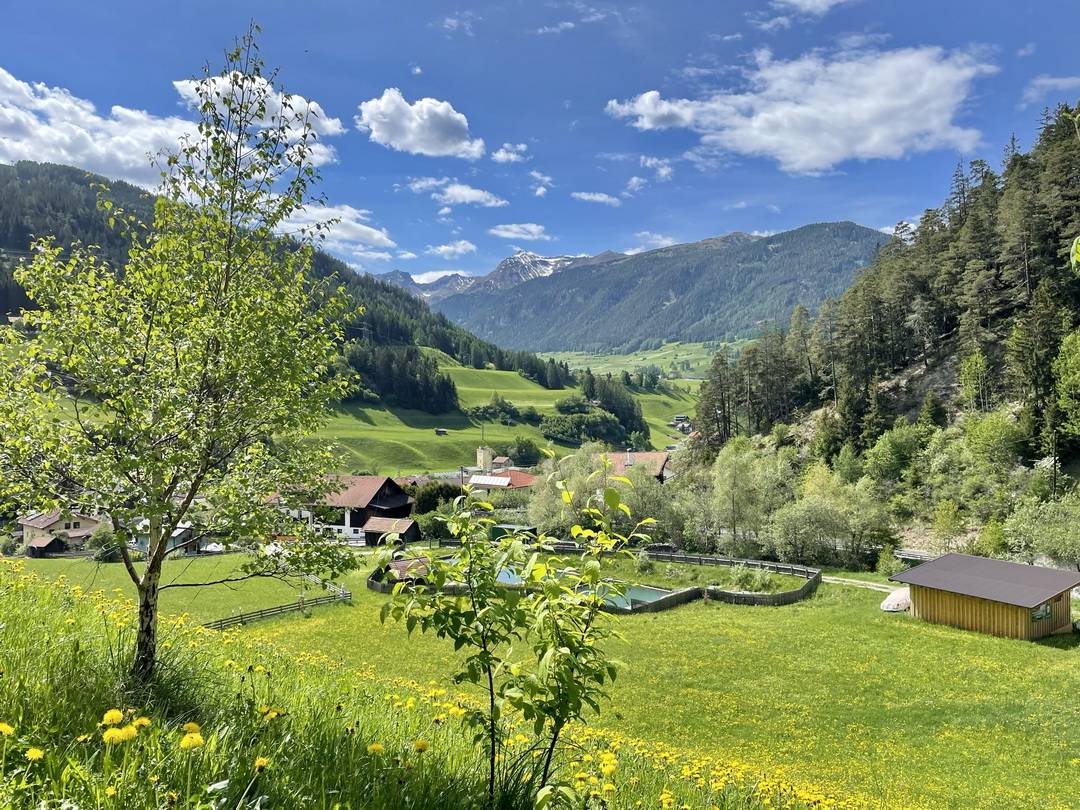 Wipptal in Tirol bei Steinach Frühling im Wipptal in Tirol in der Nähe von Steinach am Brenner