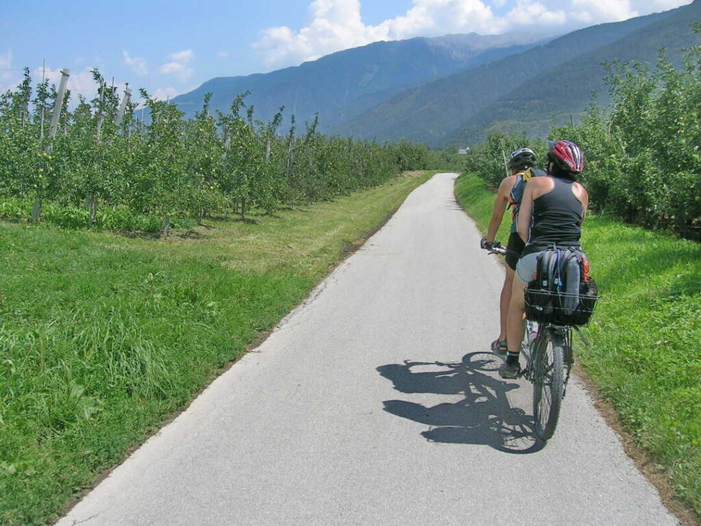 Radweg durch Apfelplantagen im Vinschgau