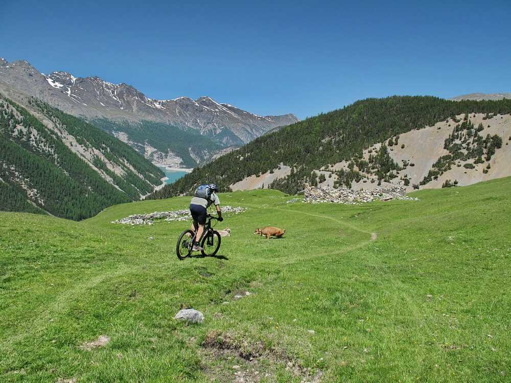 Alpe Gallo