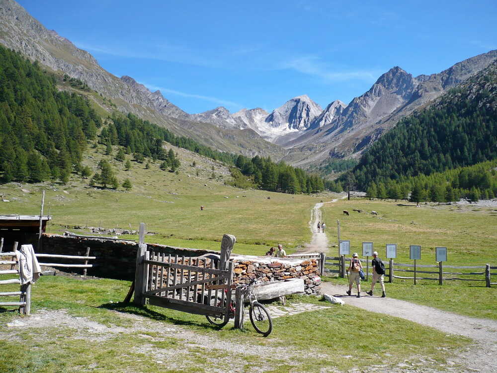 Blick zurück vom Eishof in Richtung Eisjöchl