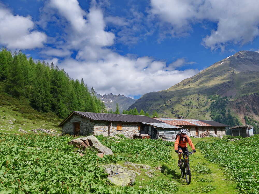 Alpe Guinzana