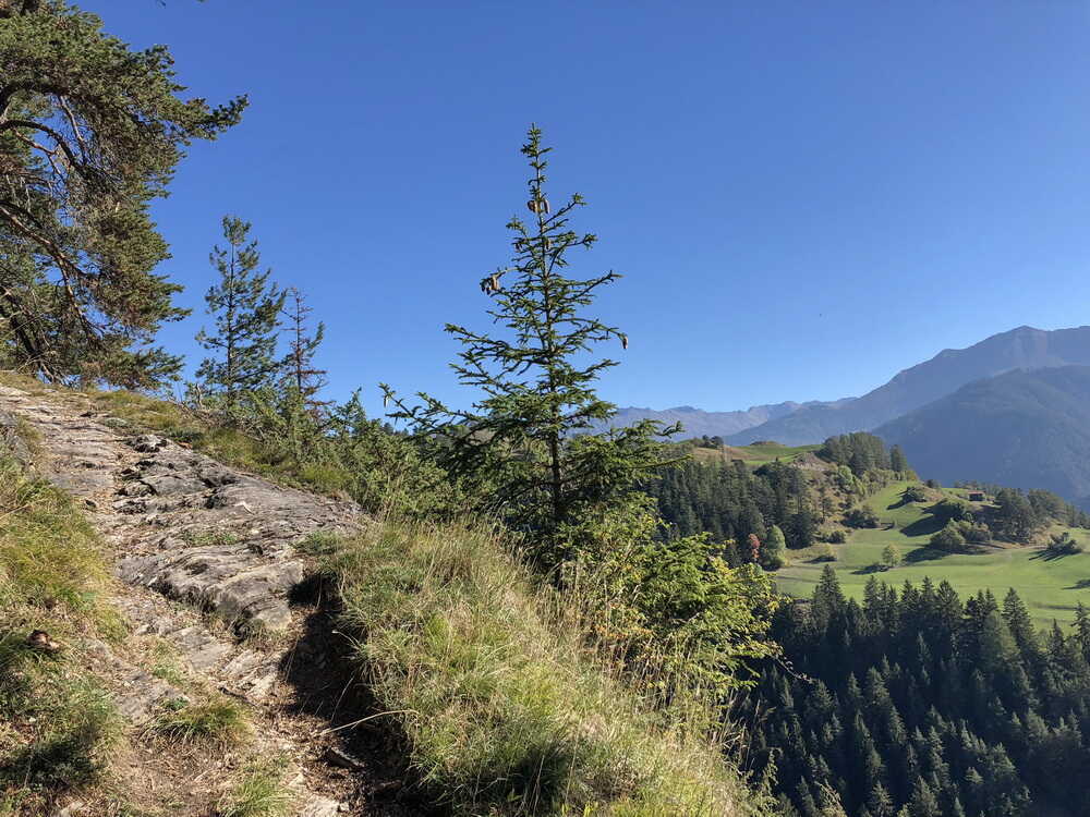 Alter Steig nach Tösens