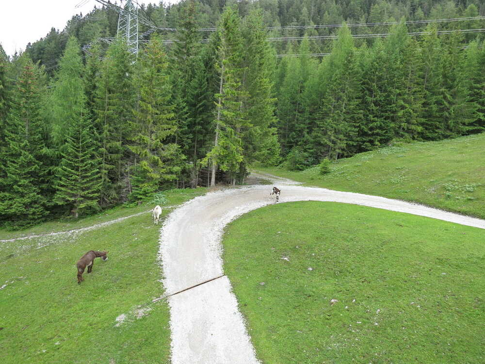 Auffahrt zum Marienbergjoch