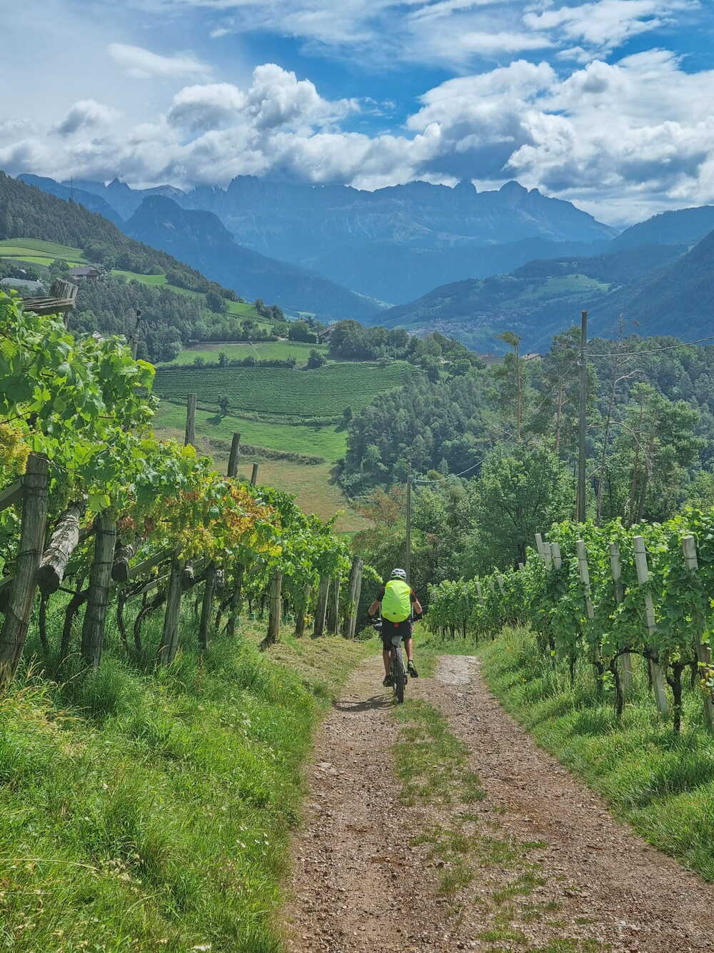 Durch die Weinberge