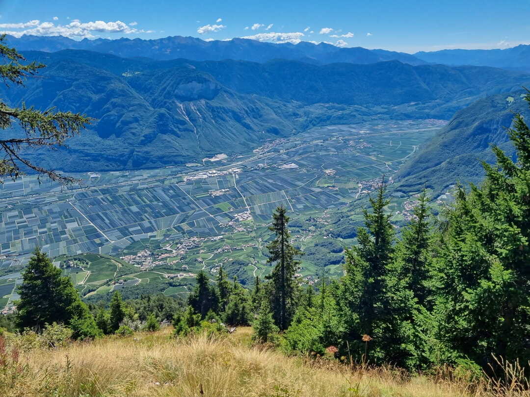 Blick vom Kuhleger ins Etschtal