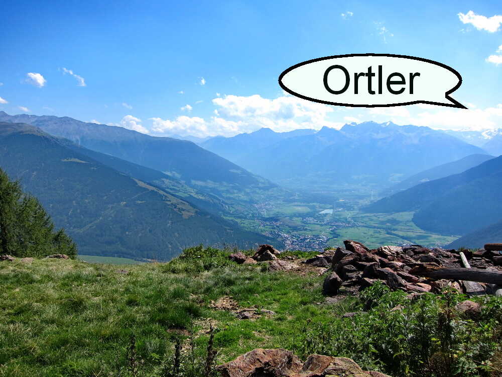 Ortlerblick