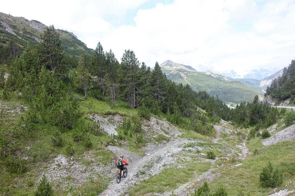 Trail vom Ofenpass nach Buffalora