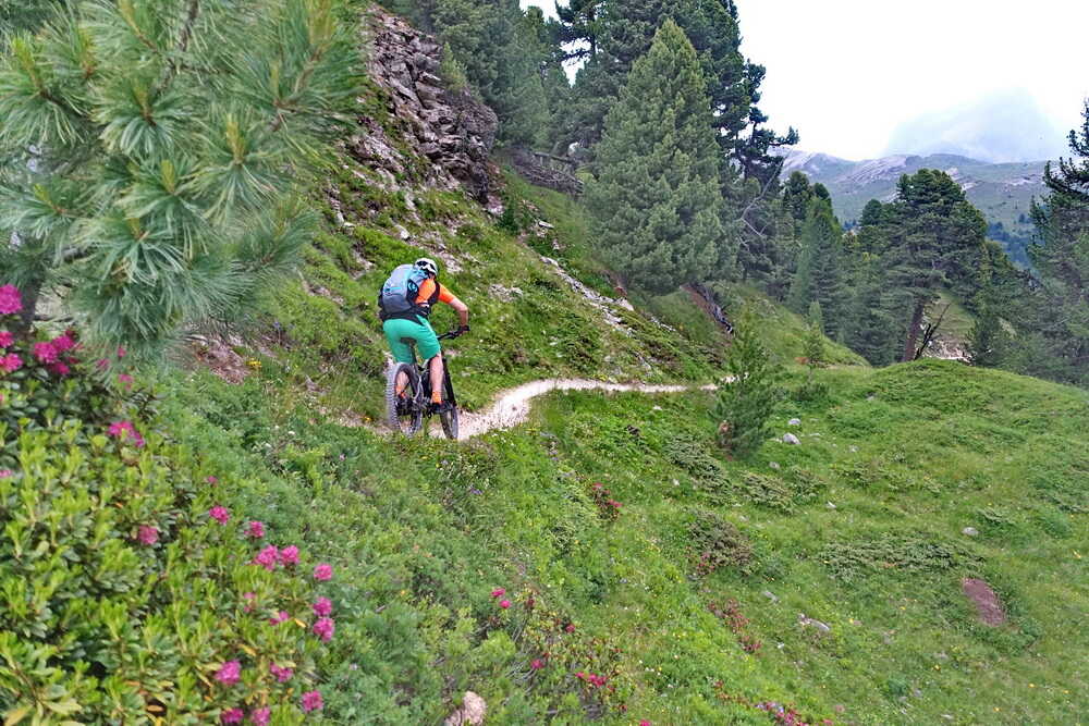 Trail zum Ofenpass