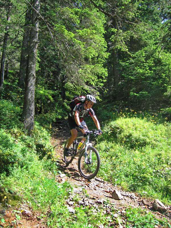 Waldtrail
