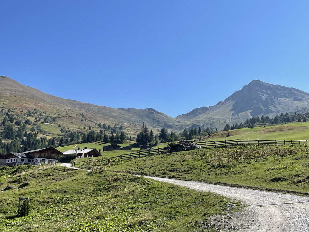 Zirog