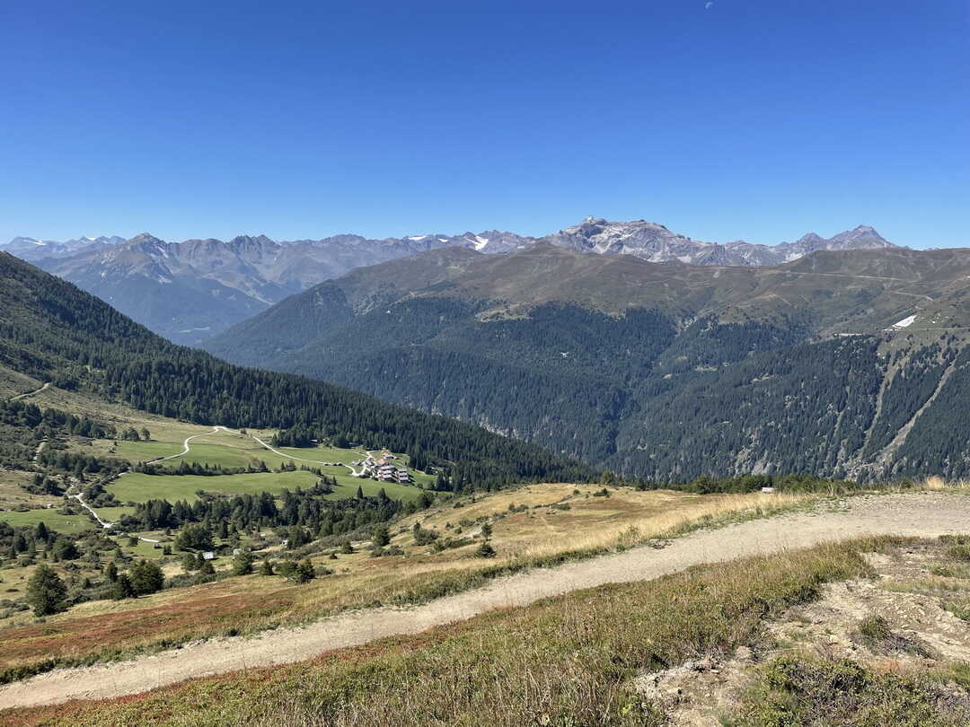 Zirog
