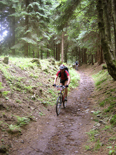 Wurzeltrail auf dem Rennsteig