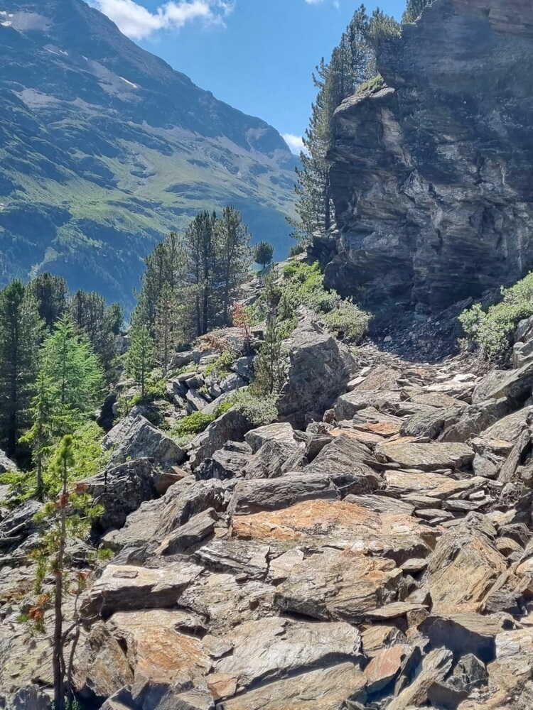 Adventure Trail Bormio 360