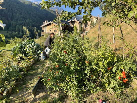 Hotel Raggio di Luce: Kräutergarten